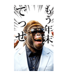 サングラスしたゴリラの正月【BIG】再販（個別スタンプ：27）