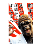 サングラスしたゴリラの正月【BIG】再販（個別スタンプ：33）