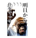 サングラスしたゴリラの正月【BIG】再販（個別スタンプ：40）