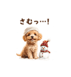 トイプードルの冬の季節の変わり目スタンプ（個別スタンプ：1）