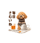 トイプードルの冬の季節の変わり目スタンプ（個別スタンプ：2）