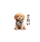 トイプードルの冬の季節の変わり目スタンプ（個別スタンプ：3）