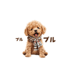 トイプードルの冬の季節の変わり目スタンプ（個別スタンプ：4）