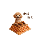トイプードルの冬の季節の変わり目スタンプ（個別スタンプ：8）