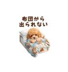 トイプードルの冬の季節の変わり目スタンプ（個別スタンプ：9）