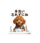 トイプードルの冬の季節の変わり目スタンプ（個別スタンプ：12）