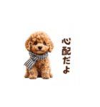 トイプードルの冬の季節の変わり目スタンプ（個別スタンプ：17）