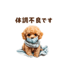 トイプードルの冬の季節の変わり目スタンプ（個別スタンプ：19）