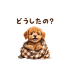 トイプードルの冬の季節の変わり目スタンプ（個別スタンプ：23）