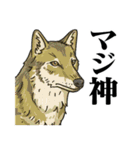 絶滅生物事典LINEスタンプ 第2弾（個別スタンプ：5）