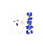 ビションフリーゼのOK系返信特集（個別スタンプ：5）