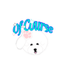 ビションフリーゼのOK系返信特集（個別スタンプ：14）