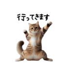 猫ネコねこ★毎日必ず使う家族連絡（個別スタンプ：1）