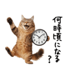 猫ネコねこ★毎日必ず使う家族連絡（個別スタンプ：4）