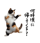 猫ネコねこ★毎日必ず使う家族連絡（個別スタンプ：5）