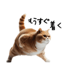 猫ネコねこ★毎日必ず使う家族連絡（個別スタンプ：8）