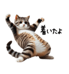 猫ネコねこ★毎日必ず使う家族連絡（個別スタンプ：11）