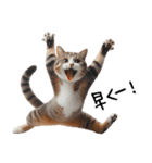 猫ネコねこ★毎日必ず使う家族連絡（個別スタンプ：12）