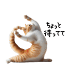 猫ネコねこ★毎日必ず使う家族連絡（個別スタンプ：13）