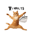 猫ネコねこ★毎日必ず使う家族連絡（個別スタンプ：15）