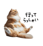 猫ネコねこ★毎日必ず使う家族連絡（個別スタンプ：17）