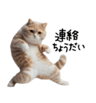 猫ネコねこ★毎日必ず使う家族連絡（個別スタンプ：19）