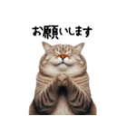 猫ネコねこ★毎日必ず使う家族連絡（個別スタンプ：21）