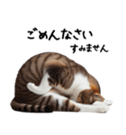 猫ネコねこ★毎日必ず使う家族連絡（個別スタンプ：23）
