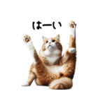 猫ネコねこ★毎日必ず使う家族連絡（個別スタンプ：24）