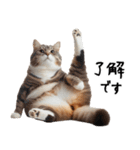 猫ネコねこ★毎日必ず使う家族連絡（個別スタンプ：25）