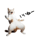 猫ネコねこ★毎日必ず使う家族連絡（個別スタンプ：26）