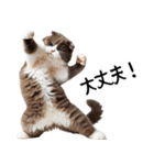 猫ネコねこ★毎日必ず使う家族連絡（個別スタンプ：28）