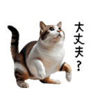 猫ネコねこ★毎日必ず使う家族連絡（個別スタンプ：29）