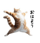 猫ネコねこ★毎日必ず使う家族連絡（個別スタンプ：31）