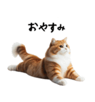 猫ネコねこ★毎日必ず使う家族連絡（個別スタンプ：32）