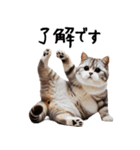 猫ねこネコ★即返信に使える！可愛い♪（個別スタンプ：1）