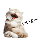 猫ねこネコ★即返信に使える！可愛い♪（個別スタンプ：3）