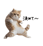 猫ねこネコ★即返信に使える！可愛い♪（個別スタンプ：4）