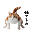 猫ねこネコ★即返信に使える！可愛い♪（個別スタンプ：5）