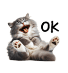 猫ねこネコ★即返信に使える！可愛い♪（個別スタンプ：6）