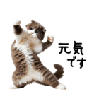 猫ねこネコ★即返信に使える！可愛い♪（個別スタンプ：10）