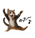 猫ねこネコ★即返信に使える！可愛い♪（個別スタンプ：17）