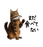 猫ねこネコ★即返信に使える！可愛い♪（個別スタンプ：18）