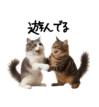 猫ねこネコ★即返信に使える！可愛い♪（個別スタンプ：20）