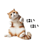 猫ねこネコ★即返信に使える！可愛い♪（個別スタンプ：24）