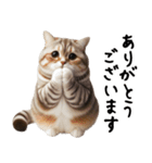 猫ねこネコ★即返信に使える！可愛い♪（個別スタンプ：25）
