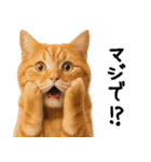 猫ねこネコ★即返信に使える！可愛い♪（個別スタンプ：29）