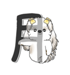 シーズー犬 2025 「スケジュールなどに」（個別スタンプ：1）