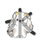 シーズー犬 2025 「スケジュールなどに」（個別スタンプ：3）