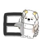 シーズー犬 2025 「スケジュールなどに」（個別スタンプ：7）